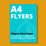 Express Same Day A4 Size Flyers