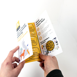 Express Same Day Tri-Fold Leaflets