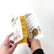 Express Same Day Tri-Fold Leaflets